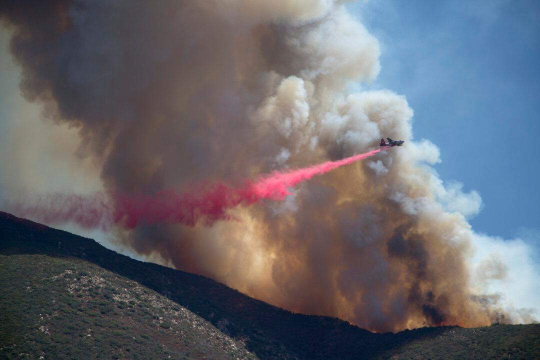 Study Sees Dying Wildlife, Bigger Fires If Drought Lasts