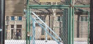 “Santa Claus” Suffers from Scabies