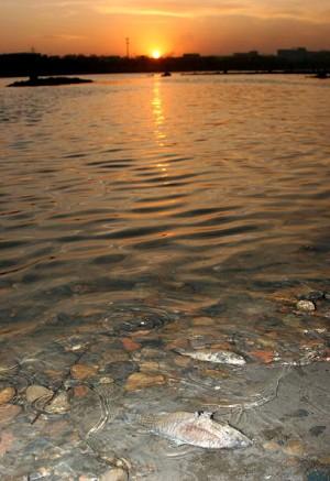 Jilin PetroChina Explosion Under Investigation, Vice-Mayor of Jilin City Reported Dead