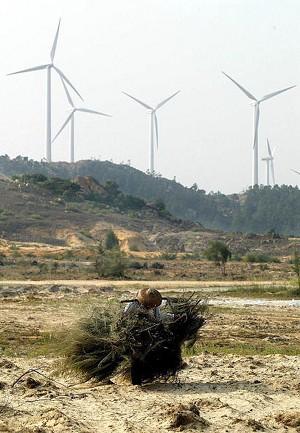 Shanwei Victim’s Father Driven Insane; Luo Gan Seen Before “Massacre”