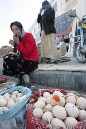 Authorities Find Poisonous Red-Yolk Eggs