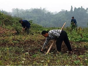 70,000 Farmers Declare to Take Back Their Expropriated Land