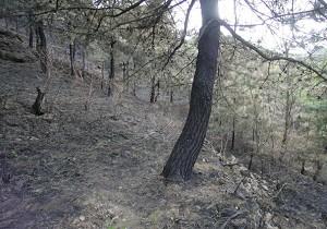 Dry Weather Causes Forest Fires in Hunan Province