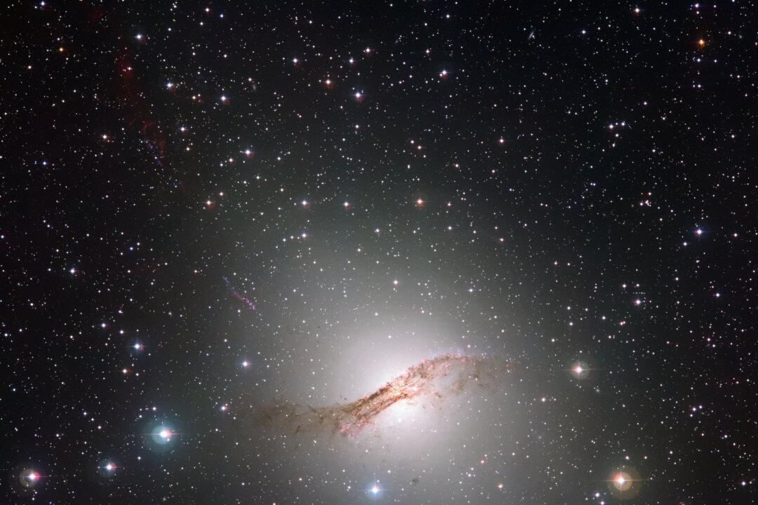 Southern Stars: The Decade Ahead for Australian Astronomy