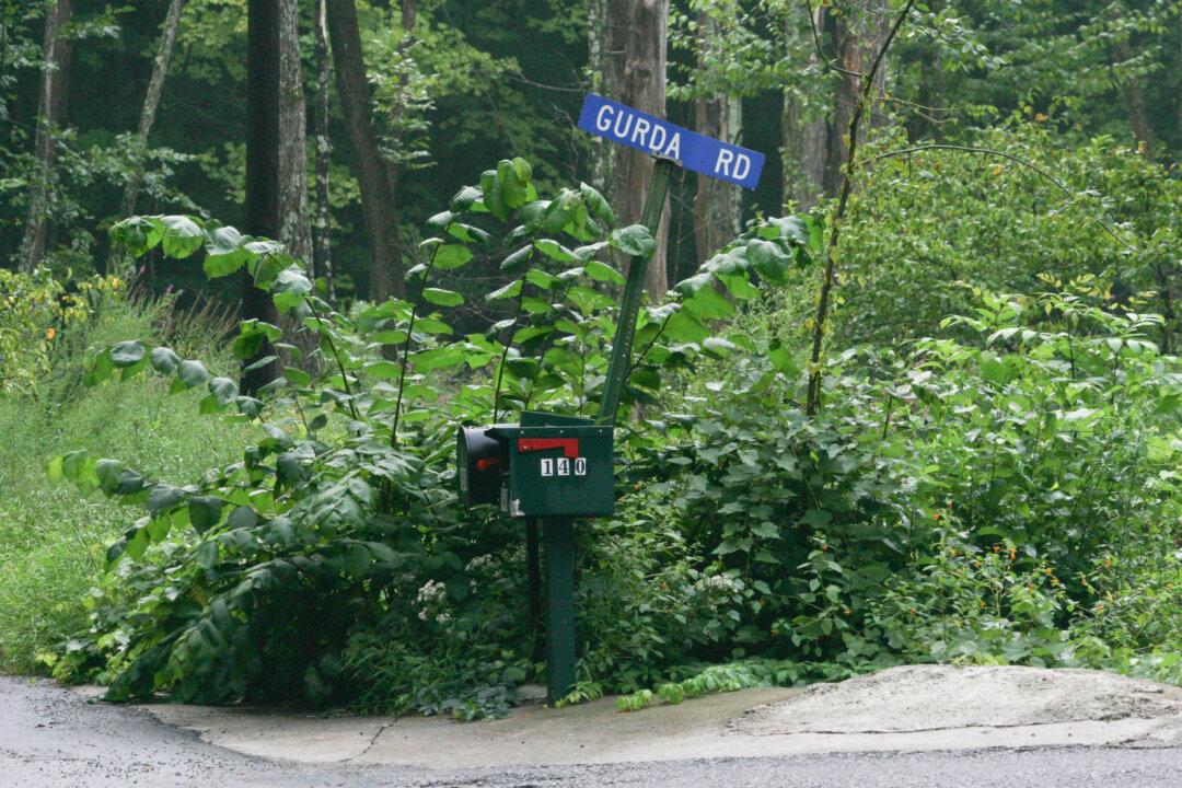 College Dorm at Deerpark Address Listed by Multiple Democratic Voters