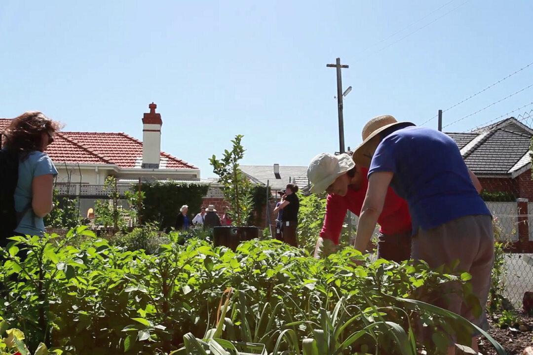 The Green-Tech Future Is a Flawed Vision of Sustainability