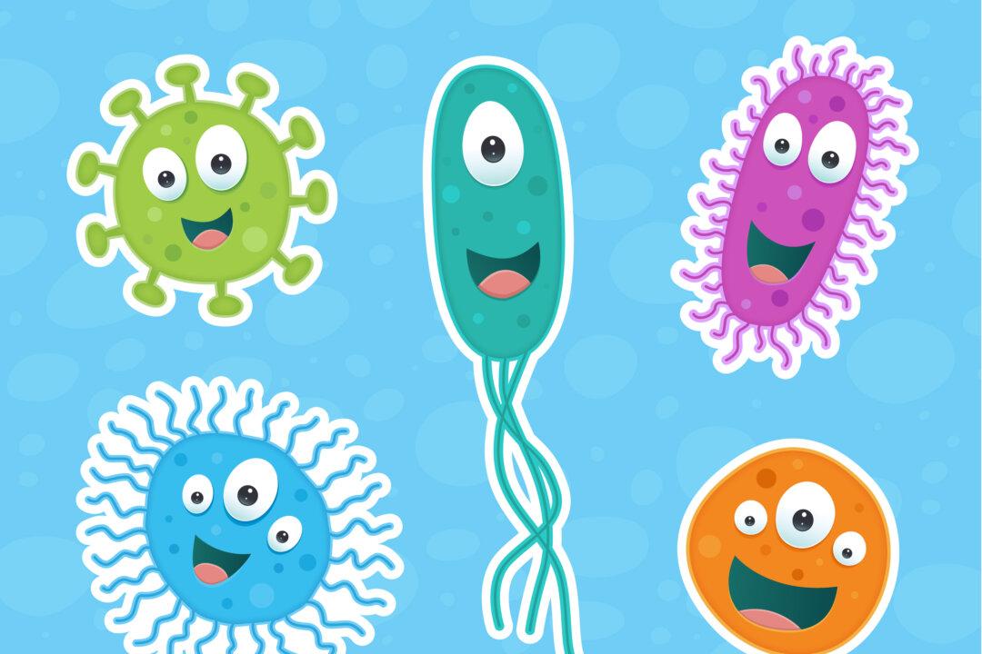 How Conventional Medical Germophobia Ruins Health