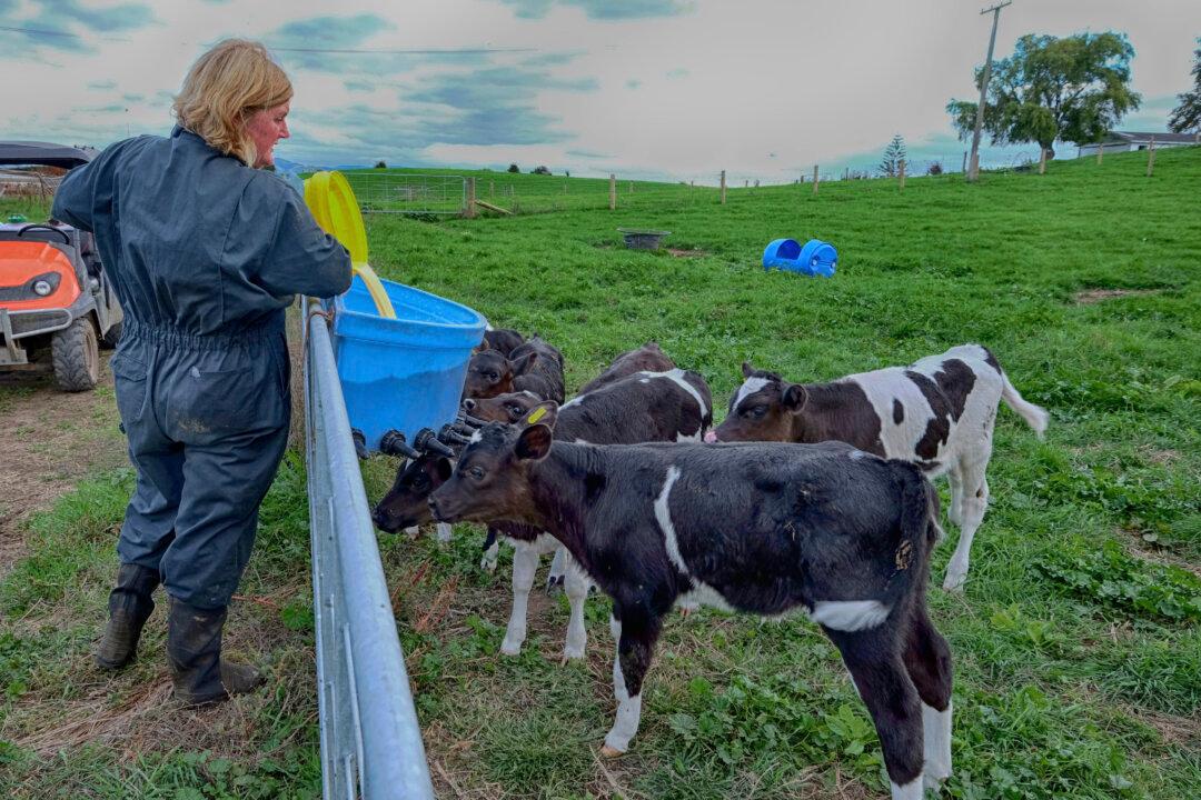Family Farms Pay Less Money, More Pride