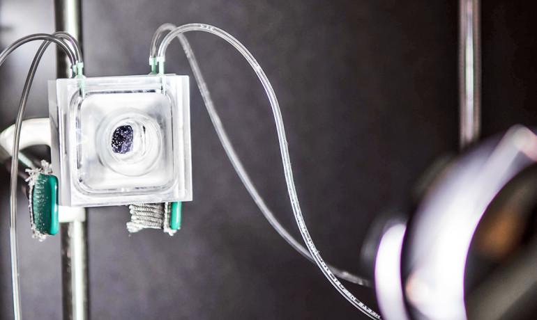 Solar Device Shatters Records for Splitting Water