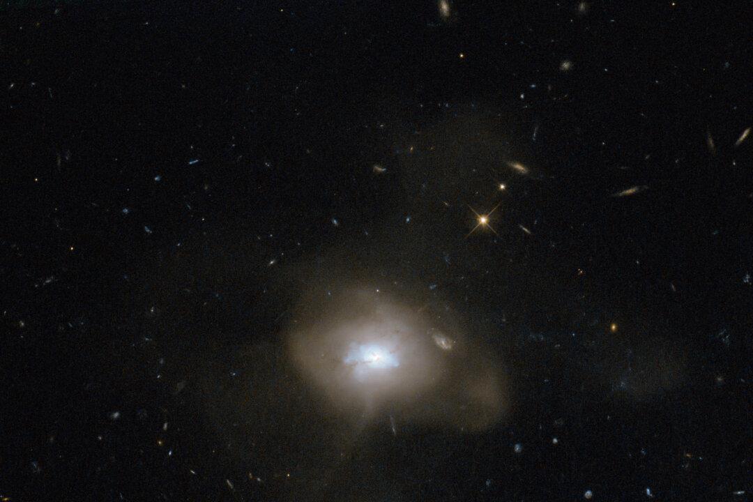 Move Over Milky Way, Elliptical Galaxies Are the Most Habitable in the Cosmos