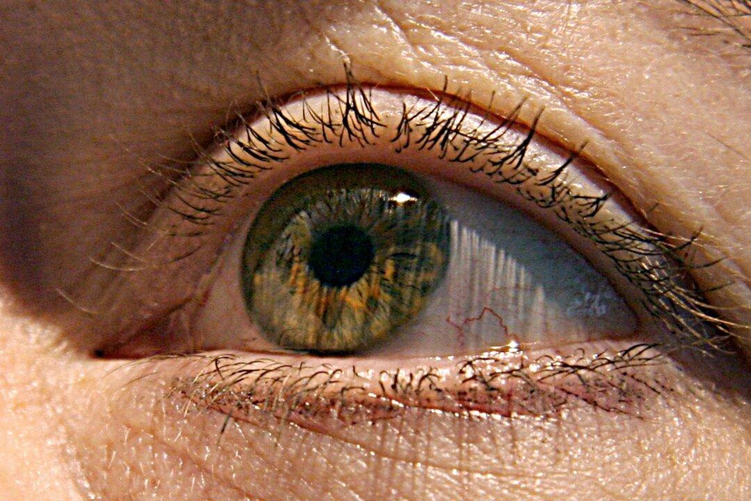 Your Aging Eyes: How You See as Time Goes By