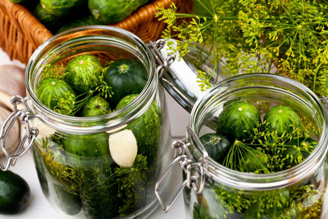 7 Tips for Home Fermenting