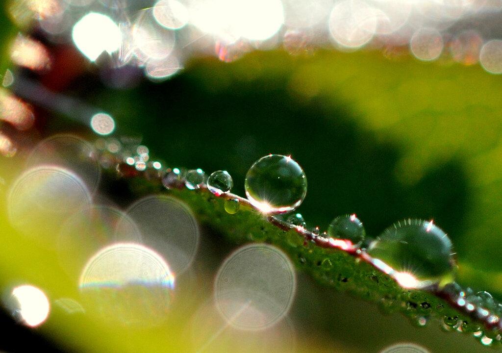 Arsenic Attaches to Water That’s ‘Too Pure’