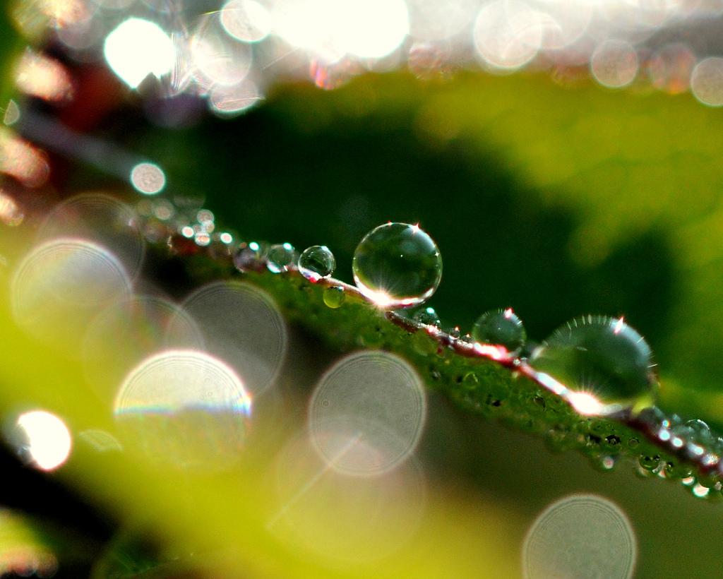 Arsenic Attaches to Water That’s ‘Too Pure’