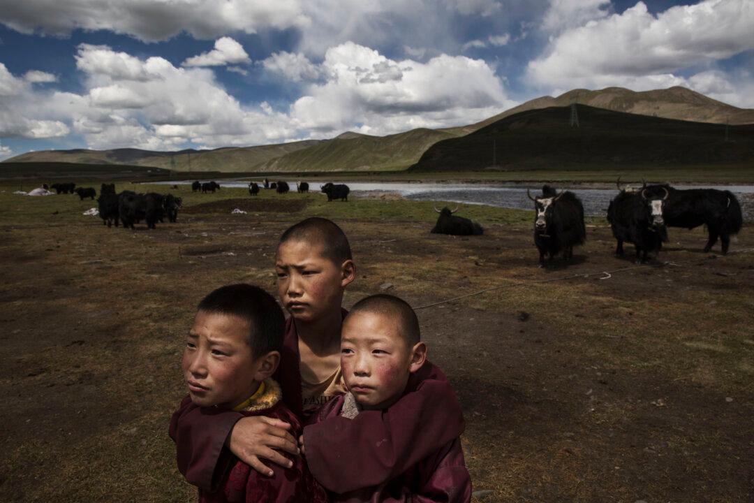 In Politicized White Paper, China Says Tibet Is in a ‘Golden Age’