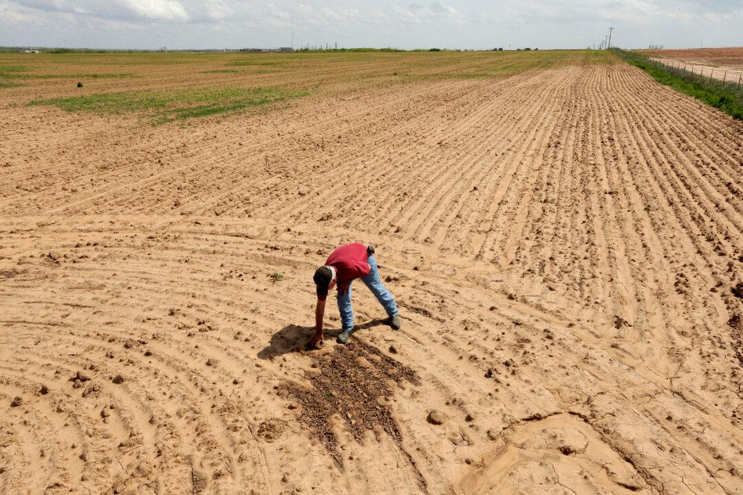 Lawmakers Want to Ban Chinese Companies From Buying US Farmland Due to ‘National Security’ Threat