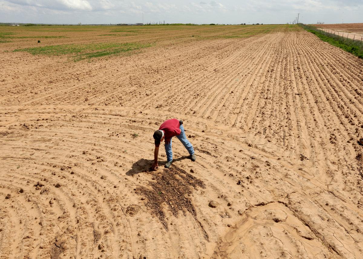 Lawmakers Want to Ban Chinese Companies From Buying US Farmland Due to ‘National Security’ Threat