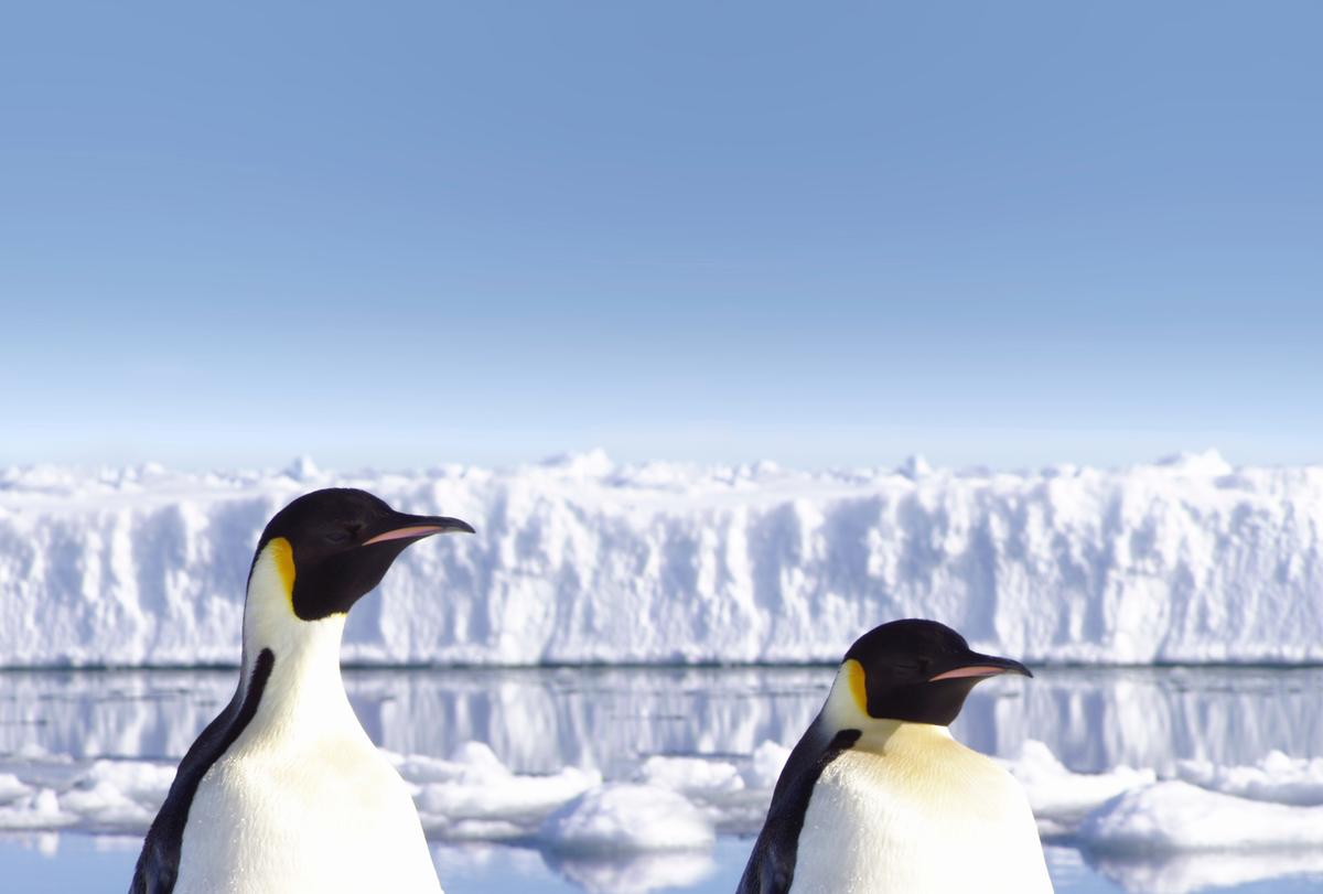 Antarctic Ice Sheets Might Last Longer Than We Thought