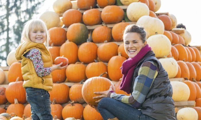 Surprising Things You Didn’t Know About Pumpkins—but Should