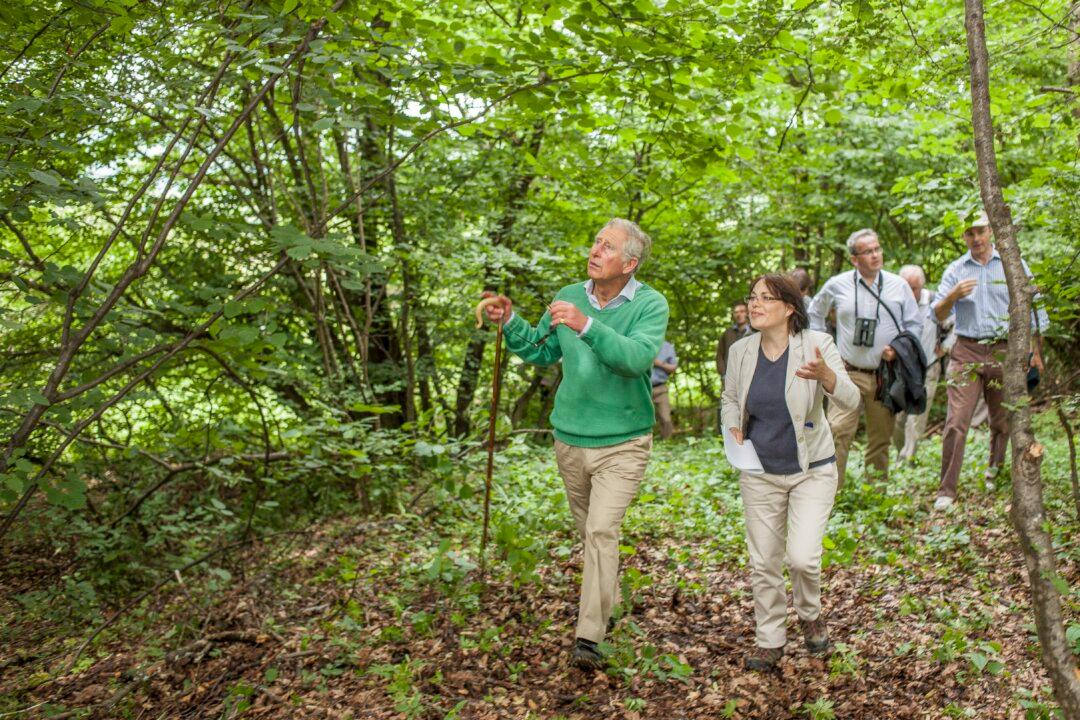 A Curious Alliance: Prince Charles and Transylvania’s Medieval Villages