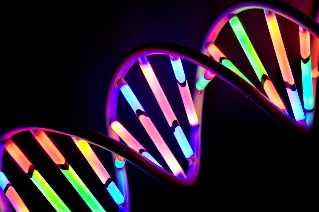 DNA and Protein Combine to Create Nanowire