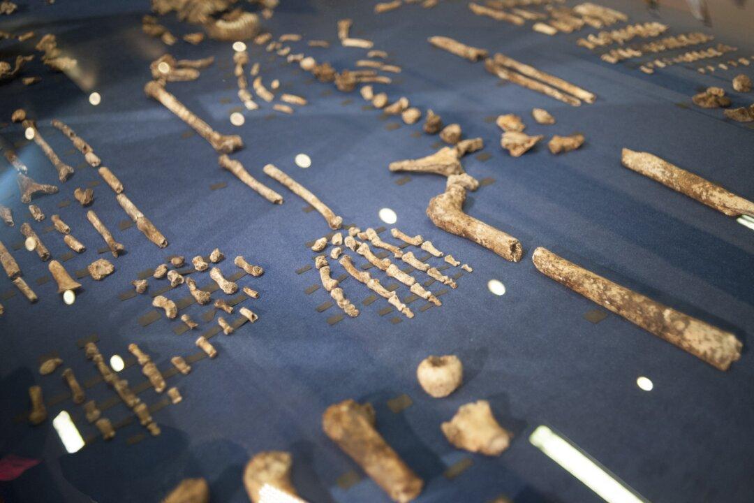 Extinct Hominins Buried Their Dead, Carved Symbols 100,000 Years Before Homo Sapiens