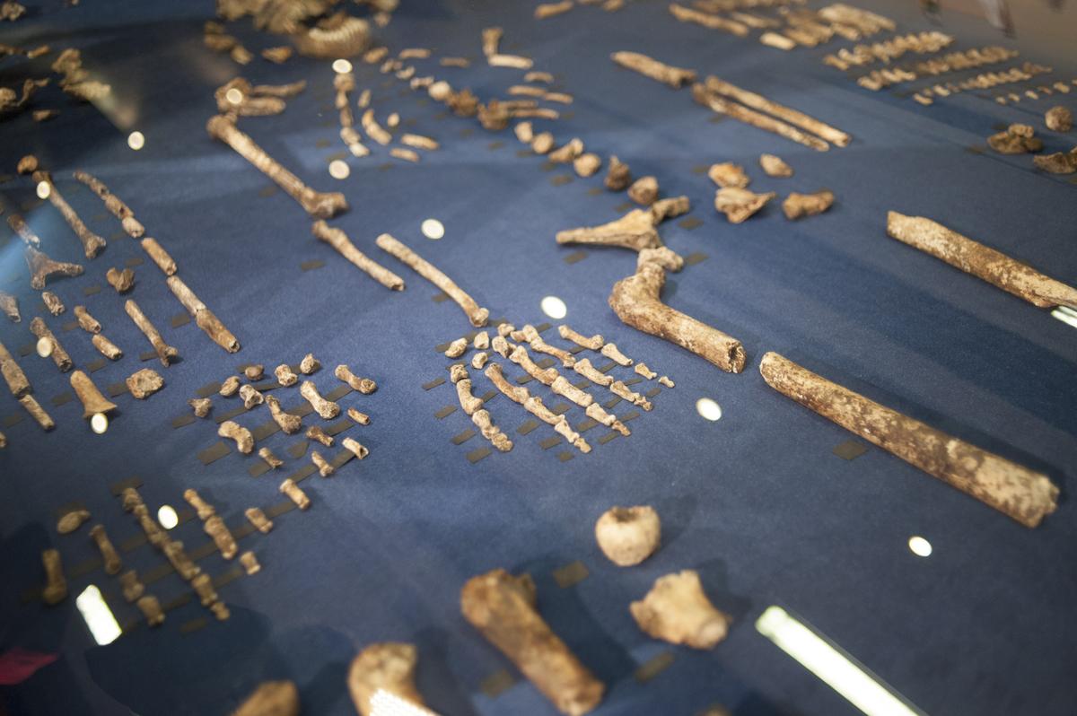 Extinct Hominins Buried Their Dead, Carved Symbols 100,000 Years Before Homo Sapiens