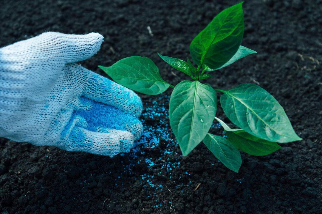 How Fertilizer Alters Soil Microbes Around the World