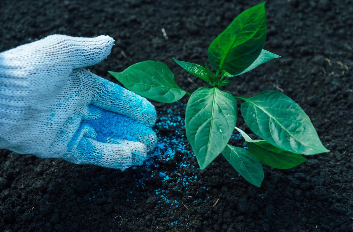 How Fertilizer Alters Soil Microbes Around the World