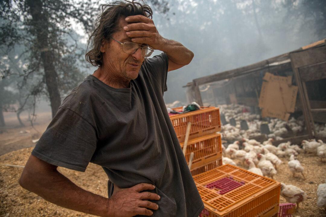 Wildfire Evacuees Tell Stories of Devastation, Survival