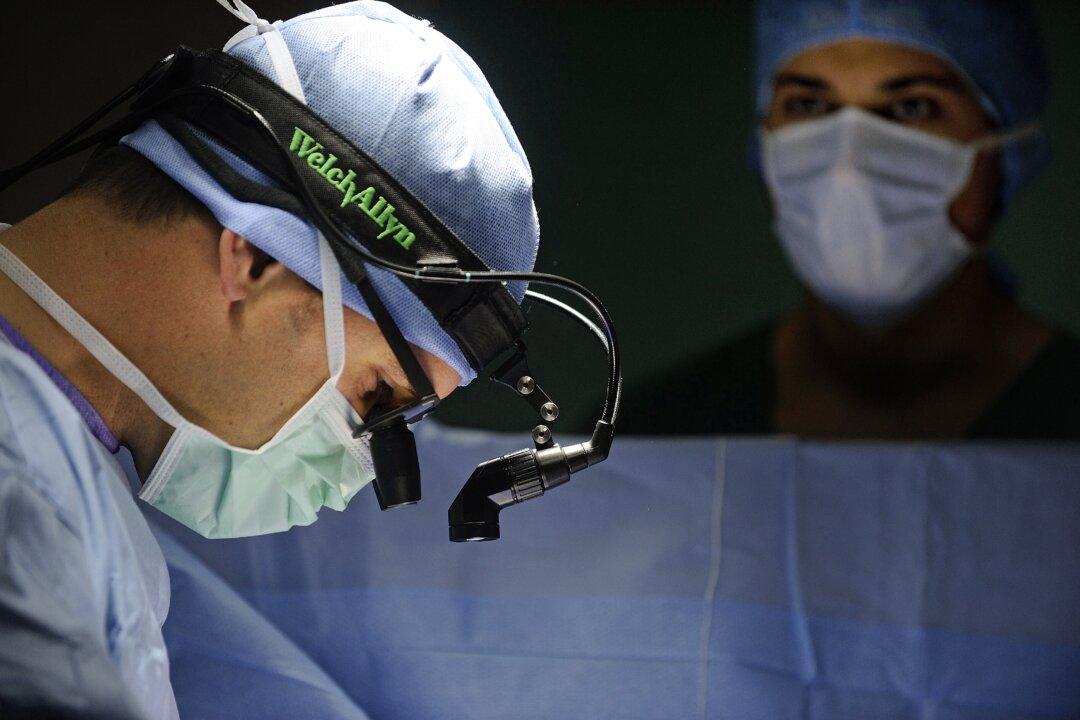 Animal Research Remains at the Heart of Medical Progress