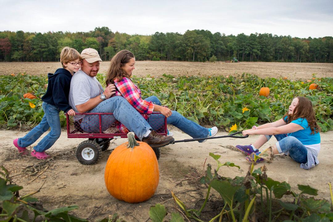 Create Fun Fall Memories: 16 Ways to Enjoy Autumn With Your Family