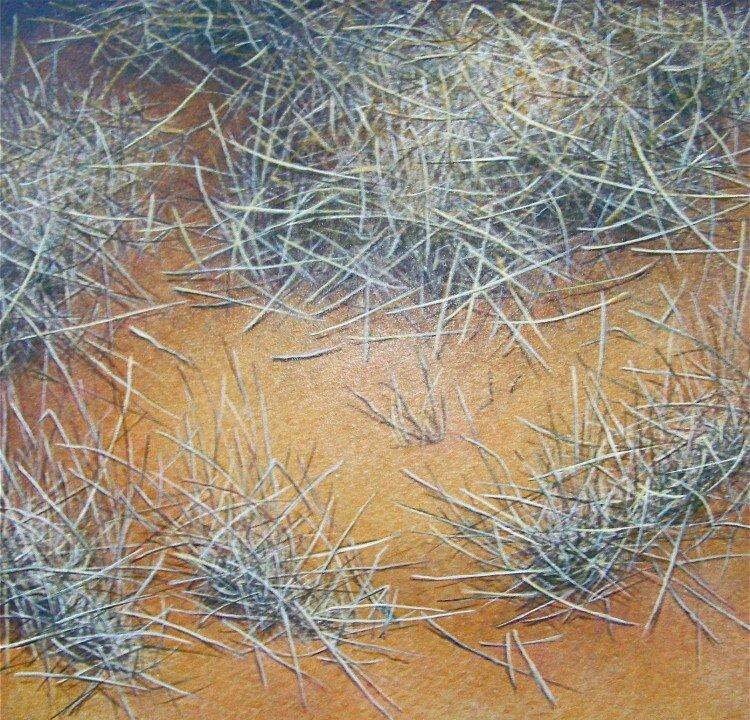 Conversing With Nature