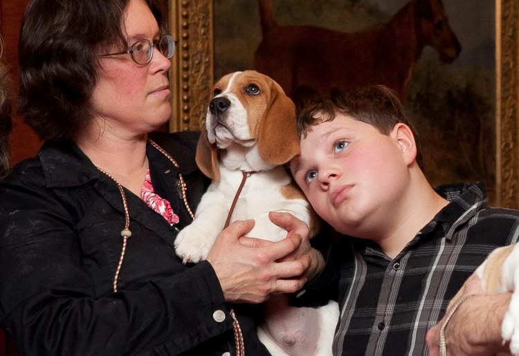 Beagles Force-Fed Pesticides, Now Released and up for Adoption