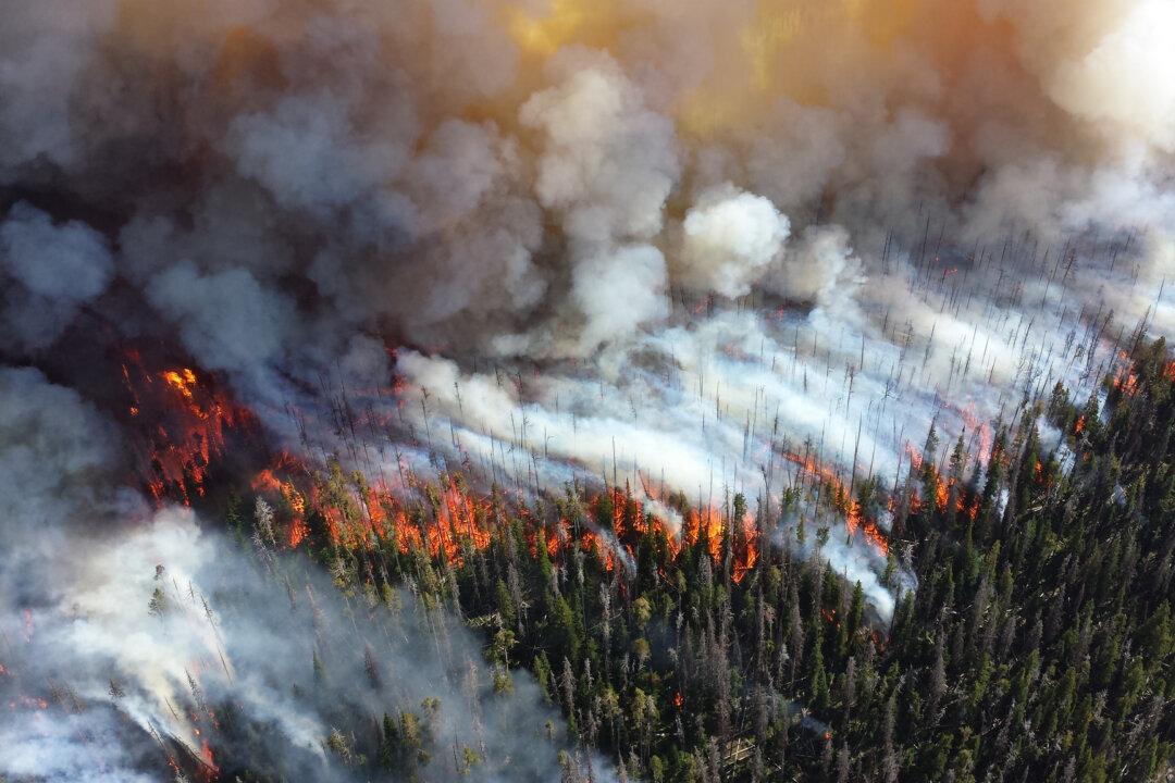 The West Is on Fire—and the US Taxpayer Is Subsidizing It