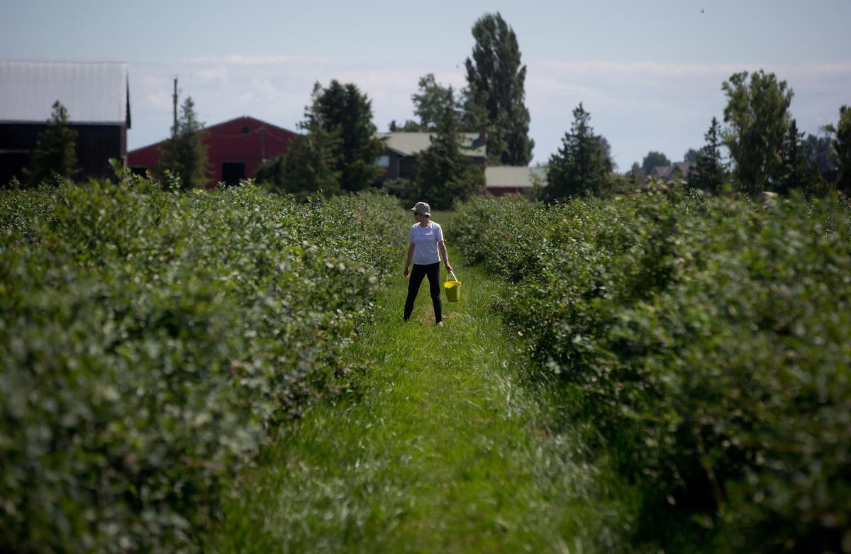 Rural Canada Is Being Neglected, Experts Say