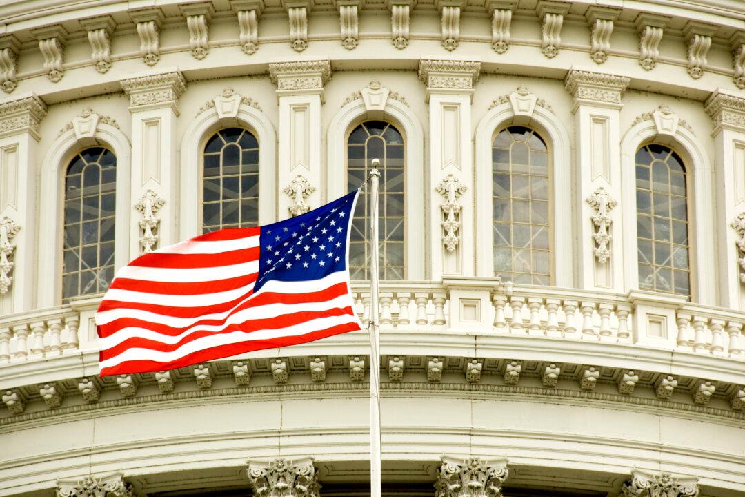 What Do We Mean by ‘Representative Government’?