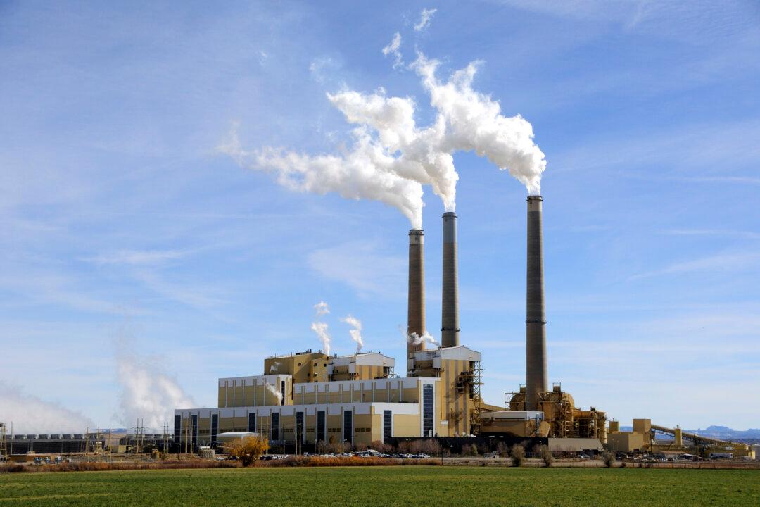 Coal Burns Cleaner When You Add Oat Hulls