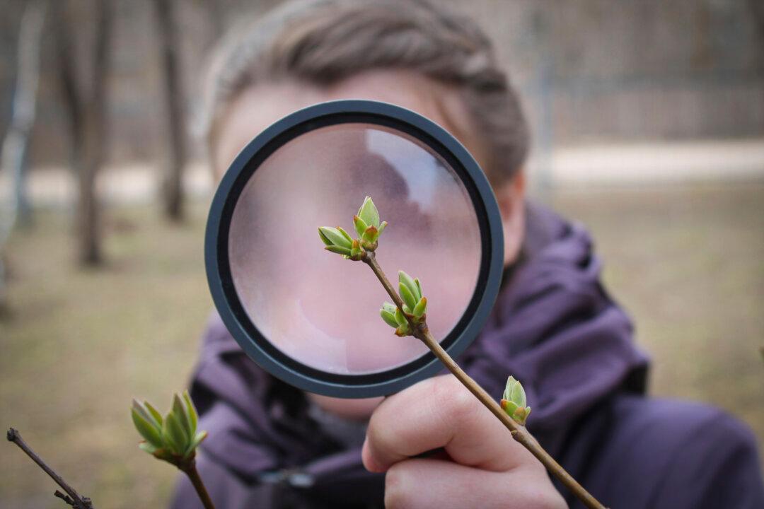 A Look at Self-Directed Learning