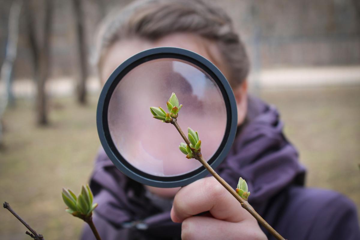 A Look at Self-Directed Learning