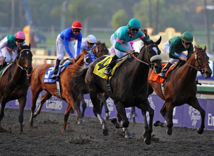 2 More Horses Die After Injuries at Santa Anita Park