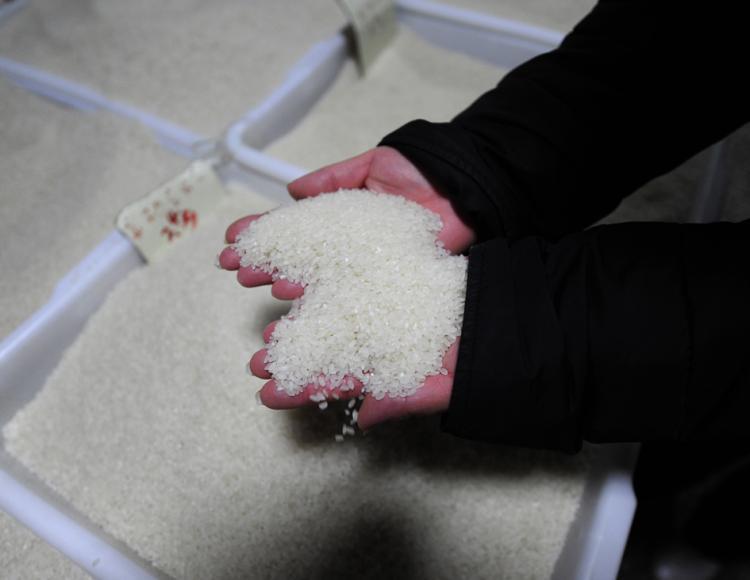 Sellers of Chemical-Laced Rice Found Guilty in Guangdong, China
