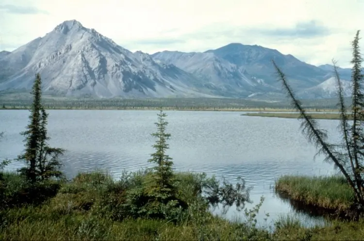 Trump Admin Reopens Alaska Wildlife Refuge for Oil, Gas Leasing