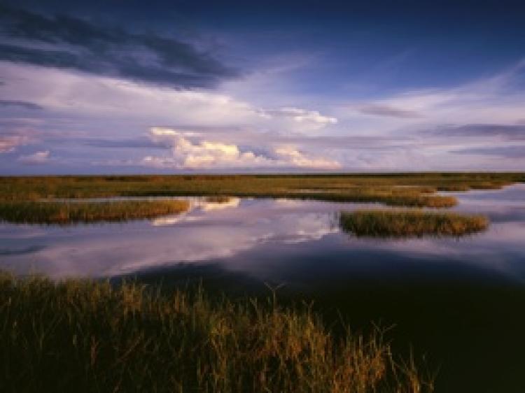 Desantis’s Florida Agrees to Buy Swath of Everglades to Protect It From Oil Drilling
