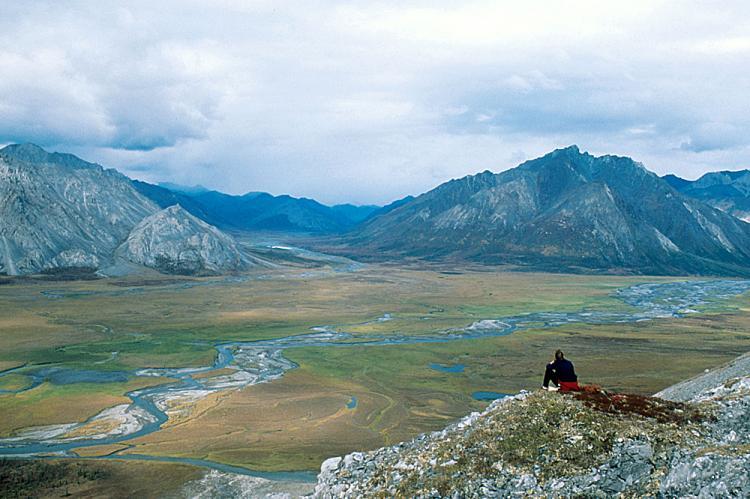 Biden Admin Suspends Oil and Gas Leases in Alaska’s Arctic National Wildlife Refuge