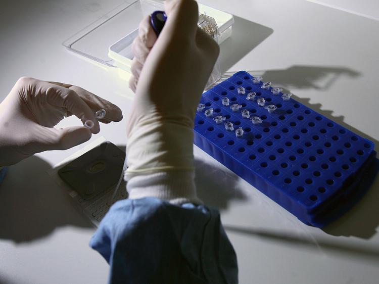 Major Scientific Publisher Retracts More Than 500 Papers