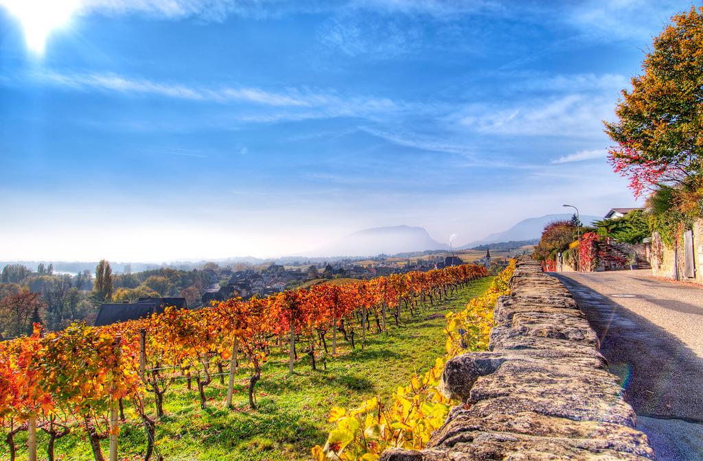 France Has a Great Plan for Its Soil—And It’s Not Just About Wine