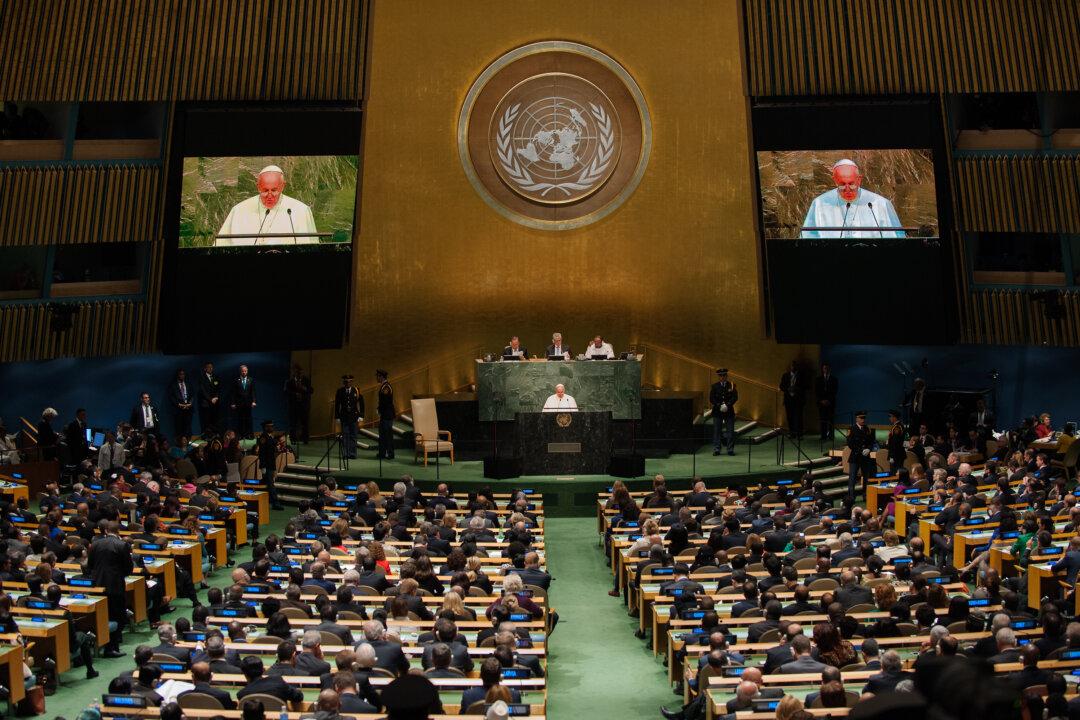 Pope, UN Sabotaging Development Goals With Climate Mitigation Focus