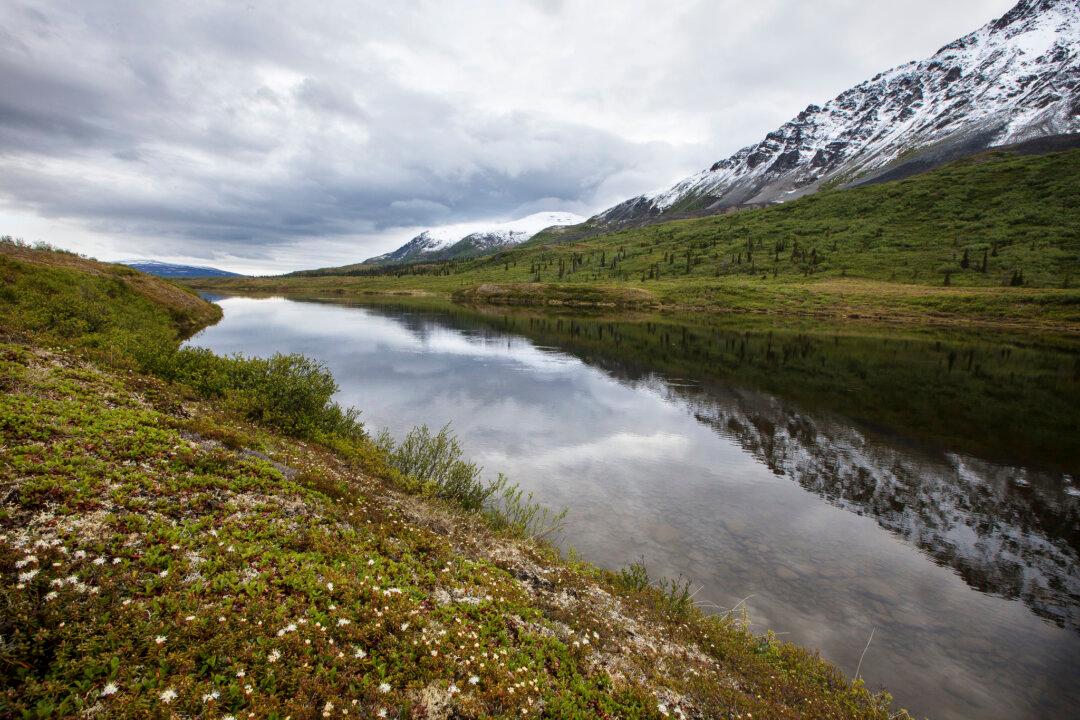 Permafrost-Eating Bacteria: A New Twist on Thawing Arctic and Global Warming