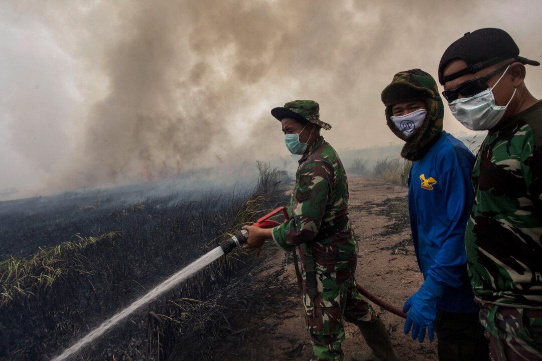 Neighbors Turn Up the Heat on Indonesia Over Forest Fires